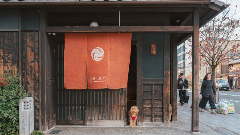 【2026年版】九州でペットと泊まれる部屋食の宿おすすめ特集｜愛犬・愛猫と気兼ねなく楽しむ厳選ステイ